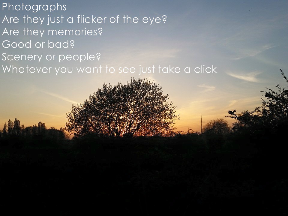 Laugh, Learn, and Connect with QuotePoem 19 Laugh, Learn, and Connect with QuotePoem 19